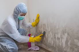 Best Residential Mold Inspection & Testing  in Port Salerno, FL